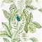 Calathea - 216630" "Tapetti – kuva 1