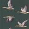 Elysian Geese - 216608" "Tapetti – kuva 1
