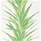 Yucca - 216649" "Tapetti – kuva 4