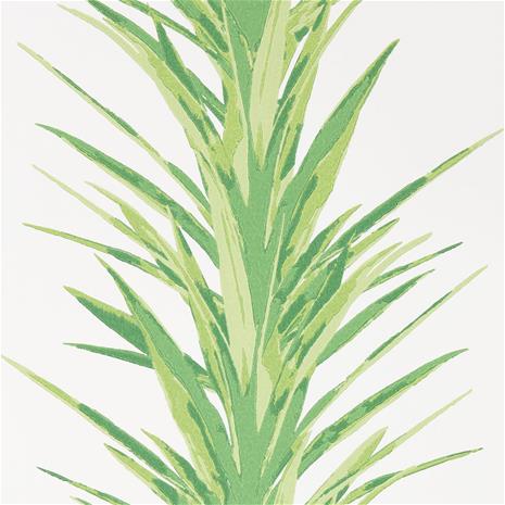 Yucca - 216649" "Tapetti