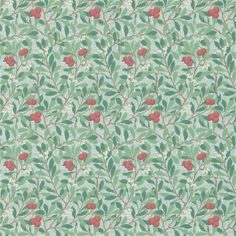 Arbutus - DM3W214719" "Tapetti