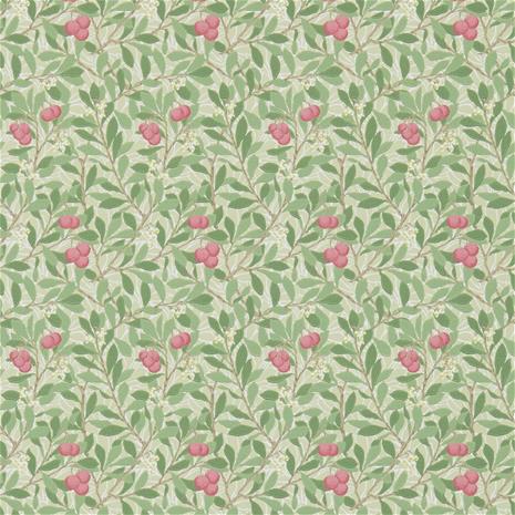 Arbutus - DM3W214720" "Tapetti