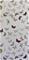 Butterfly Bronze/Multi - WP1098" "Tapetti – kuva 5