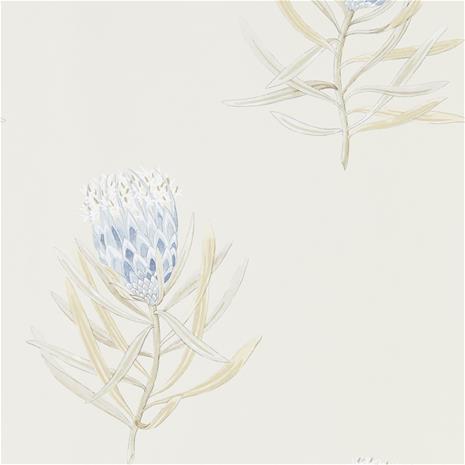 Protea Flower - 216327" "Tapetti