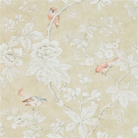 Chiswick Grove - 216385" "Tapetti