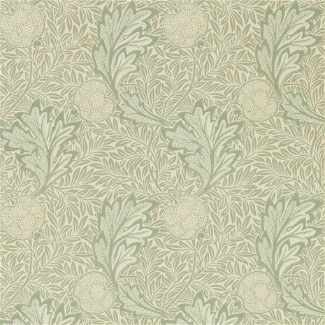 Apple - 216689" "Tapetti