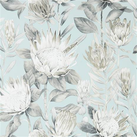 King Protea - 216645" "Tapetti