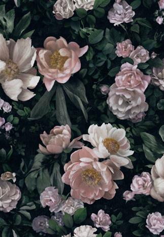 New Dawn Rose - 7234" "Tapetti – kuva 5/8