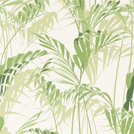 Palm House - 216643" "Tapetti