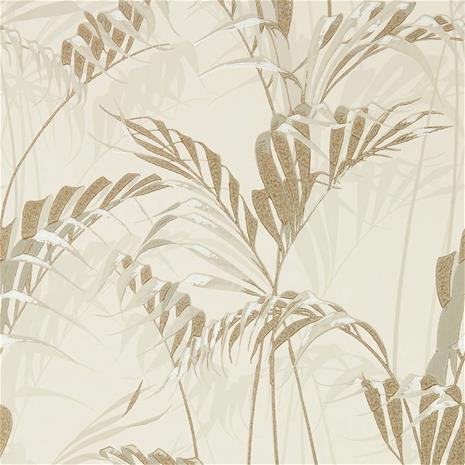 Palm House - 216644" "Tapetti