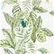 Calathea - 216630" "Tapetti – kuva 4