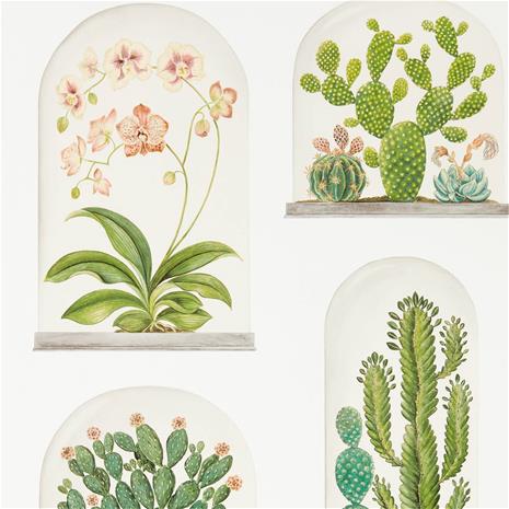 Terrariums - 216655" "Tapetti