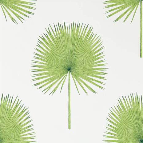 Fan Palm - 216636" "Tapetti