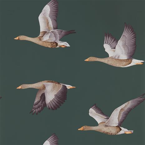 Elysian Geese - 216608" "Tapetti