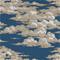 Silvi Clouds - 216602" "Tapetti – kuva 4