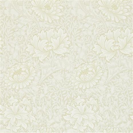 Chrysanthemum - 212546" "Tapetti