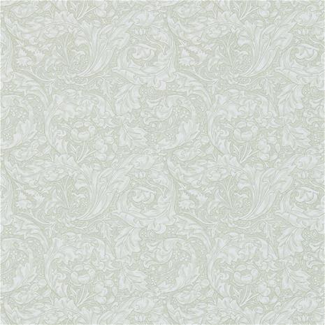 Bachelors Button - DM3W214738" "Tapetti