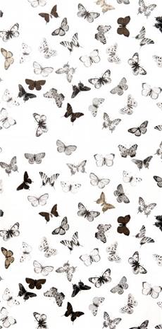 Butterfly White/Black - WP1094" "Tapetti