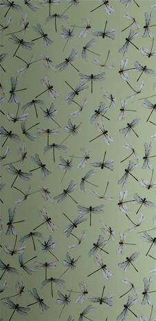 Dragonfly Celadon - WP2168" "Tapetti
