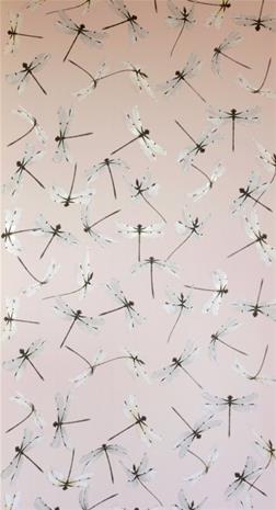 Dragonfly Pink - WP2167" "Tapetti