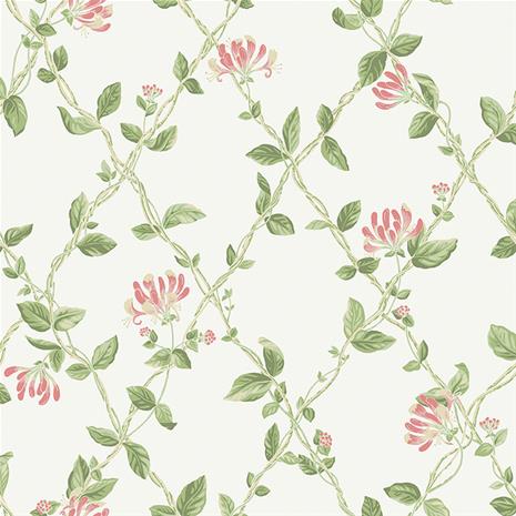 Honeysuckle - 8852" "Tapetti