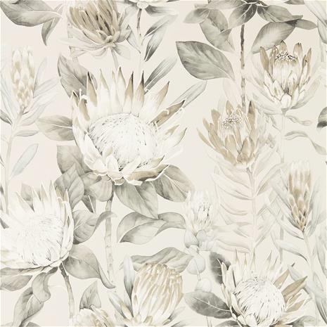 King Protea - 216647" "Tapetti