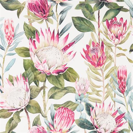 King Protea - 216646" "Tapetti