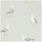 Shore Birds - DCOA216565" "Tapetti – kuva 5