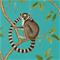 Ringtailed Lemur - 216663" "Tapetti – kuva 5