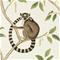 Ringtailed Lemur - 216664" "Tapetti – kuva 5