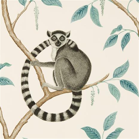 Ringtailed Lemur - 216665" "Tapetti – kuva 6/8