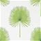 Fan Palm - 216636" "Tapetti – kuva 5