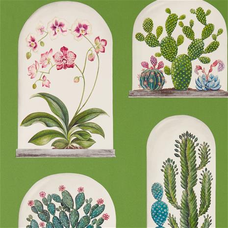 Terrariums - 216656" "Tapetti