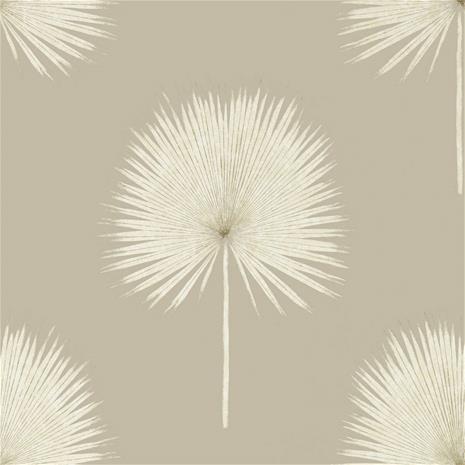 Fan Palm - 216637" "Tapetti