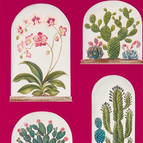 Terrariums - 216657" "Tapetti
