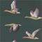 Elysian Geese - 216608" "Tapetti – kuva 4