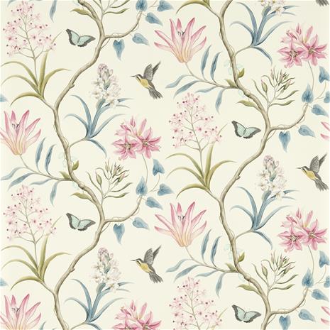 Clementine - 213386" "Tapetti
