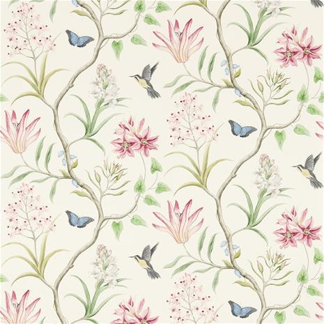 Clementine - 213388" "Tapetti