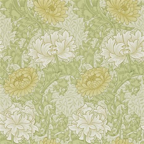 Chrysanthemum - 212545" "Tapetti
