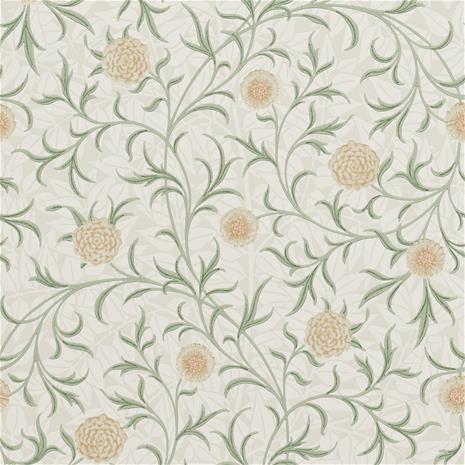 Scroll - 210365" "Tapetti