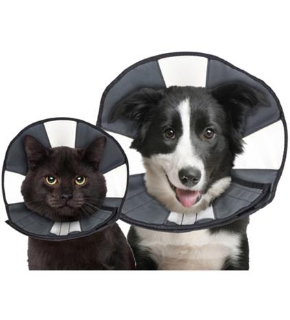 Zenpet Procone lemmikin kauluri