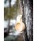 Kahvallinen kuksa – kuva 6