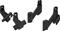 Thule Sleek, adapteri – kuva 7
