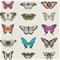 Papilio - HAMA111079 Tapetti – kuva 1
