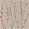 Salice - HSTO111472 Tapetti – kuva 1