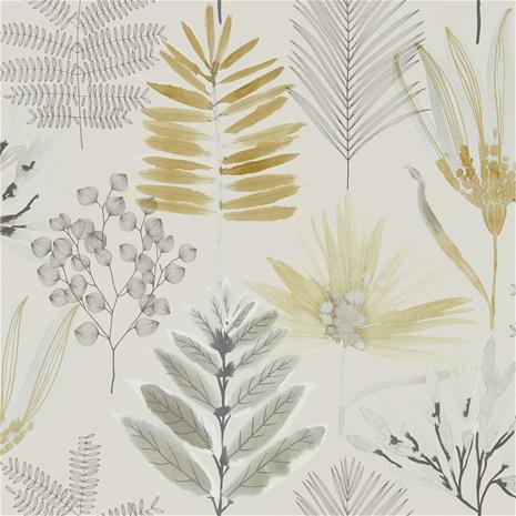 Yasuni - HZAP111762 Tapetti – kuva 1/7