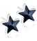 Blomdahl Star korvakorut – kuva 2