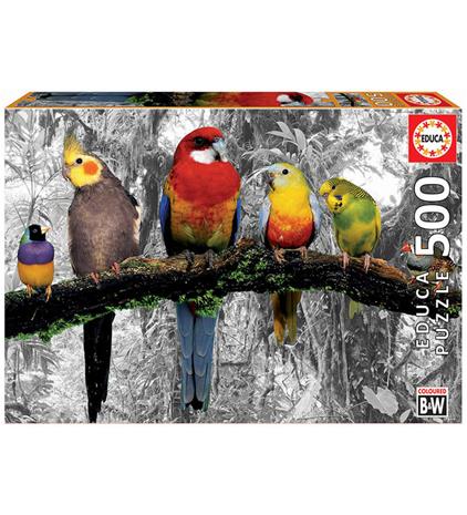Educa 500 Birds Colour Black & White