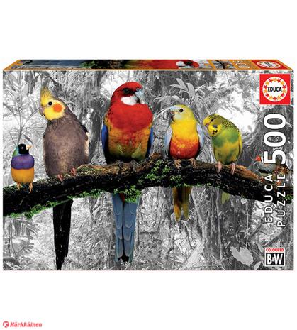 Educa 500 Birds Colour Black & White