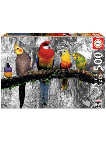 Educa 500 Birds Colour Black & White
